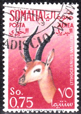 20180915_0012.jpg