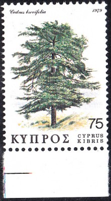 20180917_0008.jpg