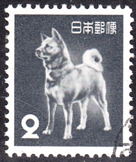 20181022_0013.jpg