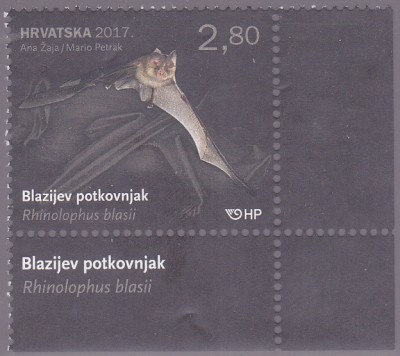20181104_0010.jpg