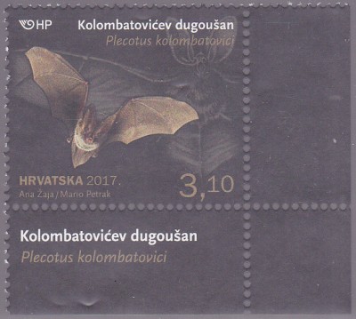 20181104_0011.jpg