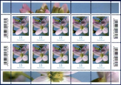 Wiesenschaumkraut_10er-Bogen.jpg