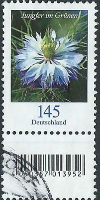 369c.jpg