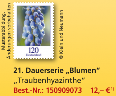 120_Traubenhyazinthe.png