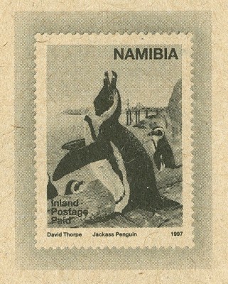 namibia_pinguin2.jpg