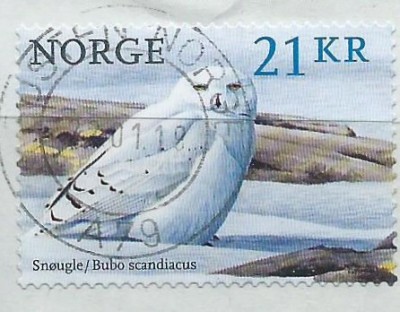66c.jpg