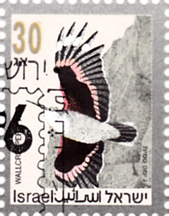 20190212.jpg