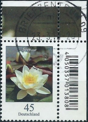 83g.jpg