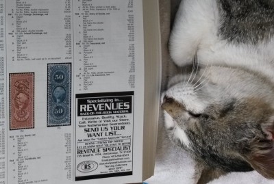 Bob studiert Revenues.jpg