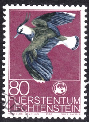 20190311_0019.jpg