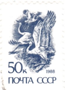 20190315_0027.jpg
