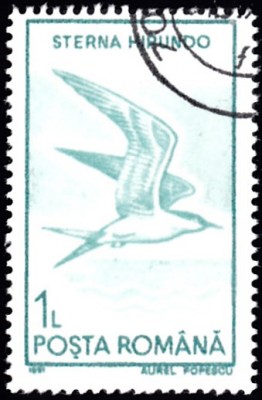 20190403_0006.jpg