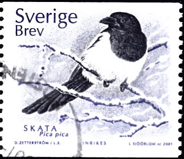 20190403_0004.jpg