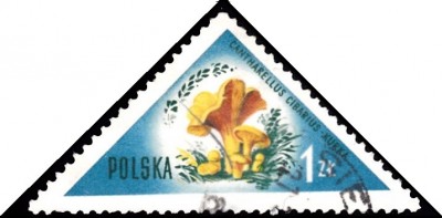 20190404_0012.jpg
