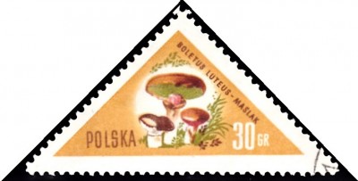 20190405.jpg