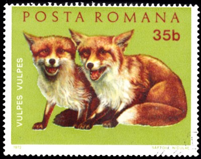 20190405_0005.jpg