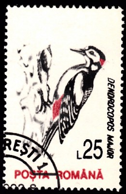 20190405_0009.jpg