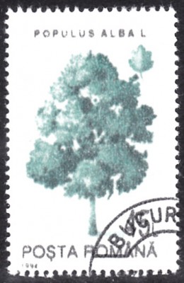 20190406.jpg