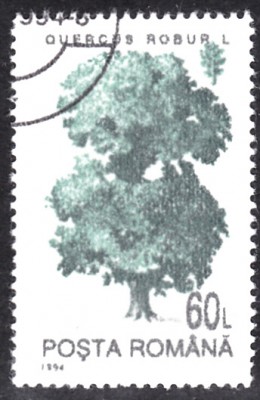 20190406_0001.jpg