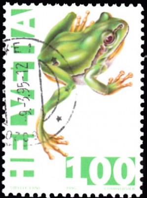 20190406_0008.jpg