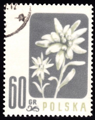 20190409_0012.jpg