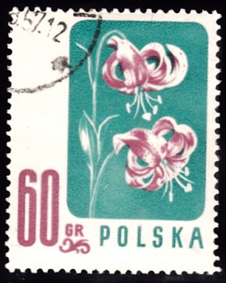 20190409_0011.jpg