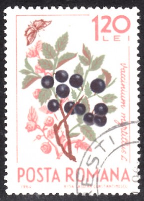 20190412.jpg