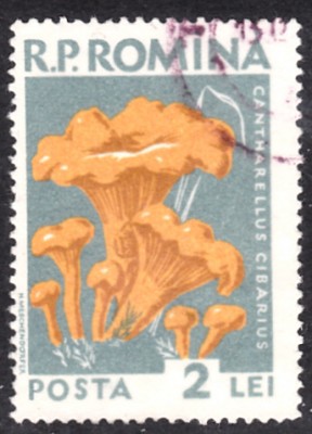 20190412_0001.jpg