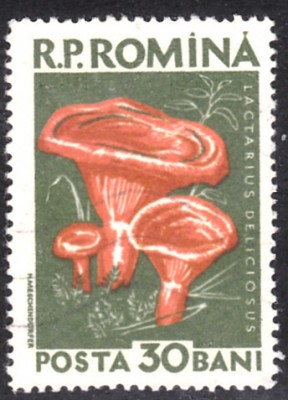 20190412_0002.jpg
