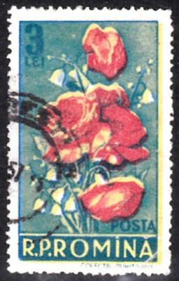 20190413_0003.jpg