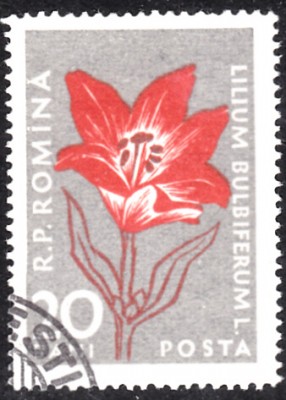 20190413_0001.jpg