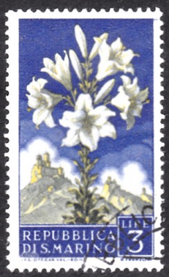 20190414_0025.jpg