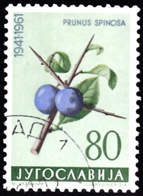 20190419_0004.jpg