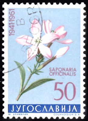 20190419_0005.jpg