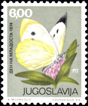 20190419_0016.jpg