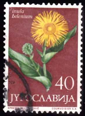 20190419_0007.jpg