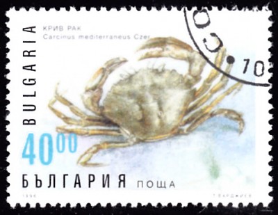 20190421_0009.jpg