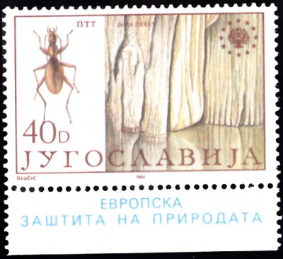 20190423_0011.jpg