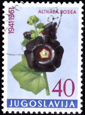 20190419_0008.jpg
