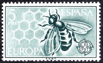 E1962_0001.jpg