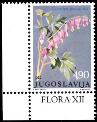 20190427_0012.jpg