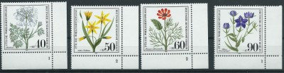 171c.jpg