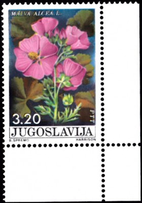 20190430_0007.jpg