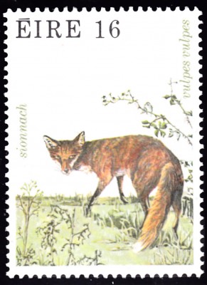 20190528.jpg