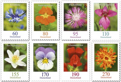 DS_Blumen_Neuausgaben_01-07-2019_small.jpg