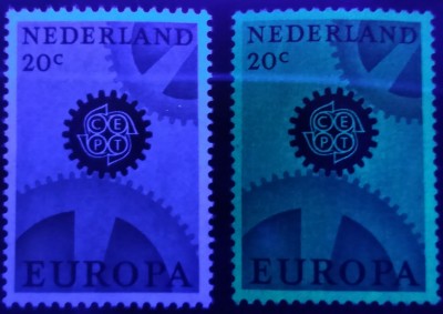 20190726.jpg