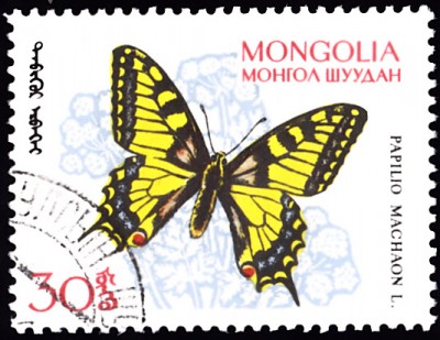 20190913_0011.jpg