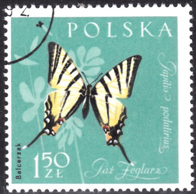 20190916_0013.jpg