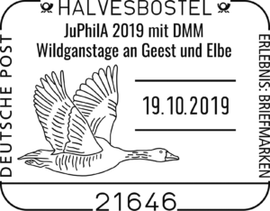 SSt_JuPhilA_DMM_fliegende Wildgans.png