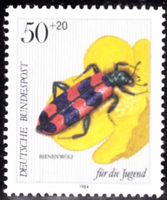 20191008.jpg